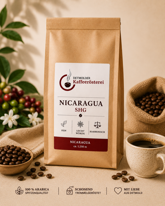Nicaragua SHG