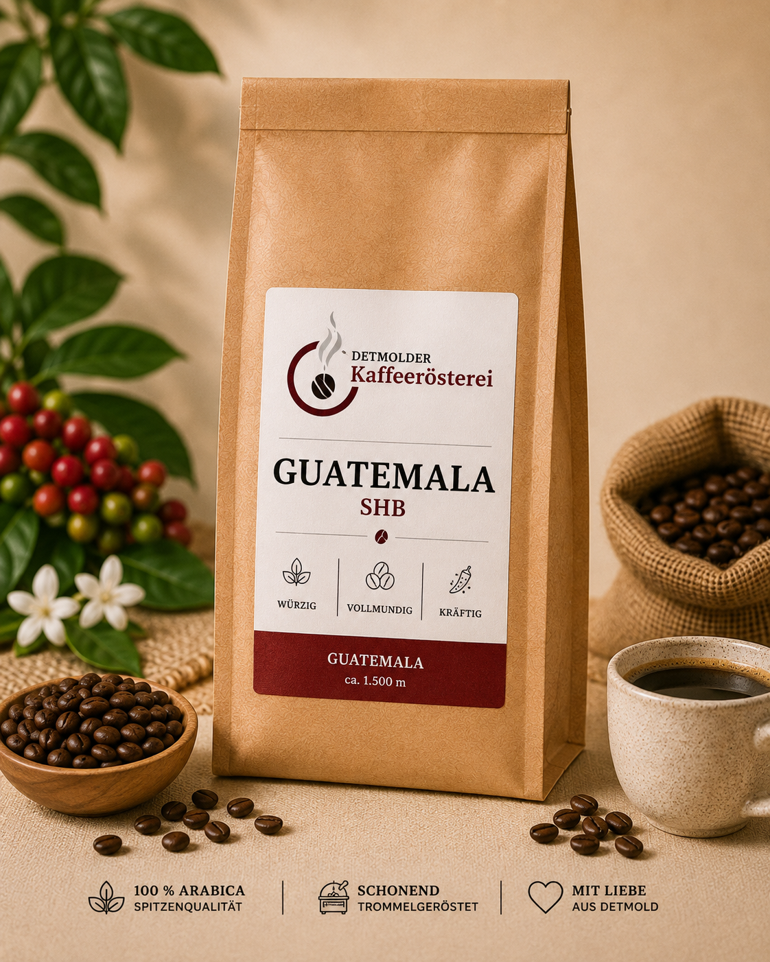 Guatemala SHB