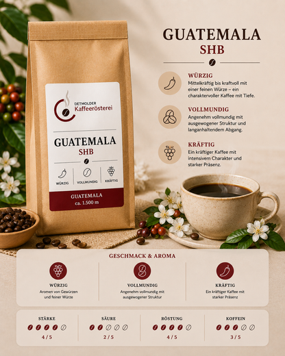 Guatemala SHB